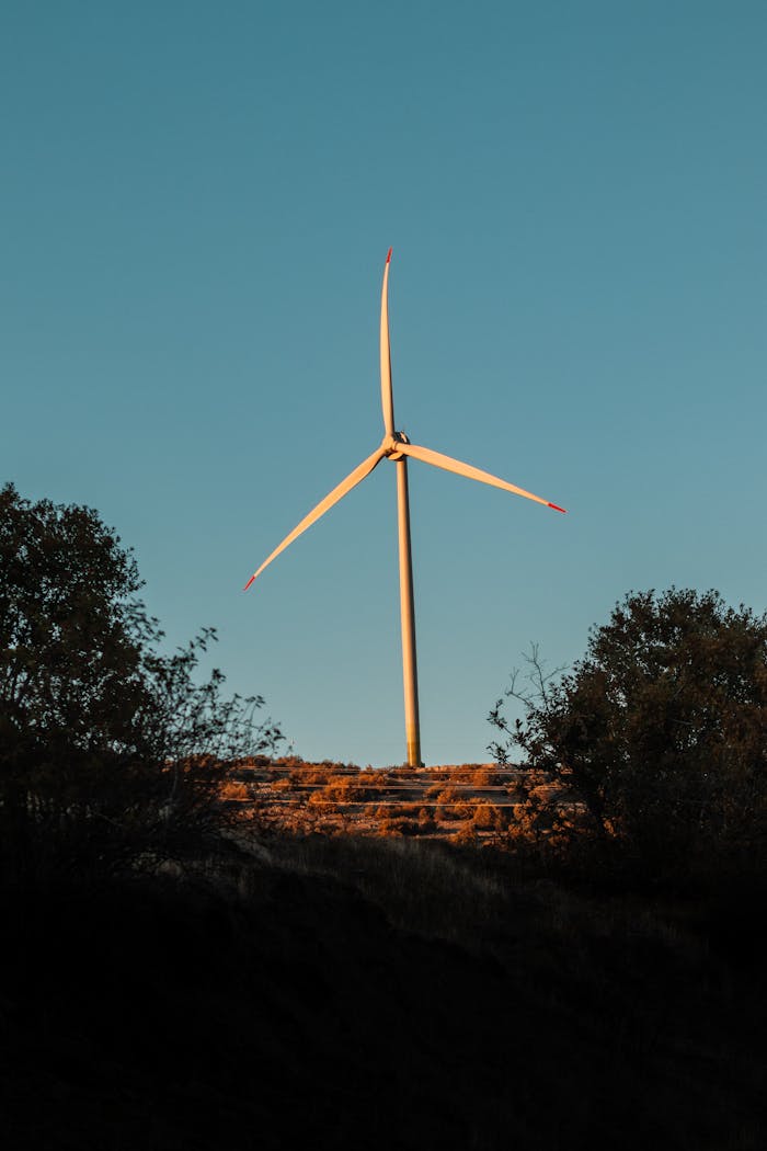 A wind turbine in a rural setting during sunset, capturing renewable energy in nature.
